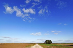 ON THE ROAD TO SUCCESS